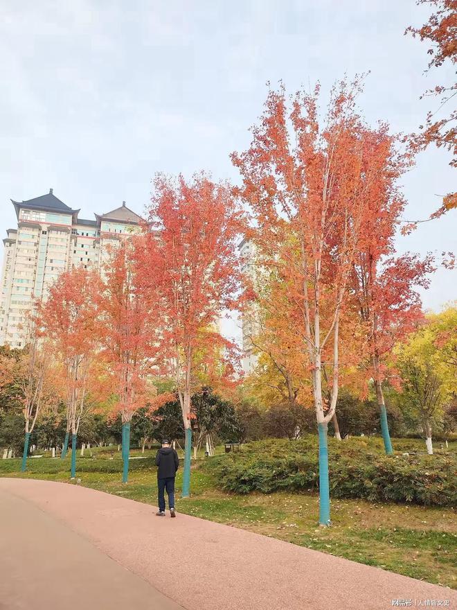 的工作其实非常赚钱只有接触过才知道。尊龙凯时人生就是搏平台很多看似辛苦(图1)