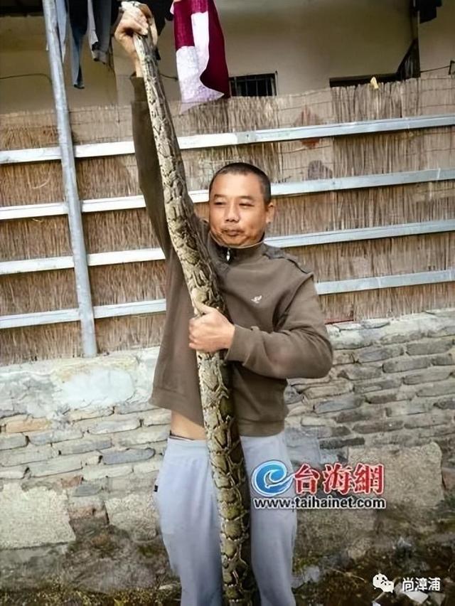 类博主两天涨粉200万电话被打爆交给朋友接听尊龙凯时app三亚女游客被蛇咬身亡事