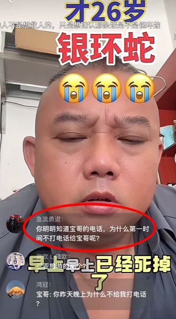 类博主两天涨粉200万电话被打爆交给朋友接听尊龙凯时app三亚女游客被蛇咬身亡事件带火蛇(图7)